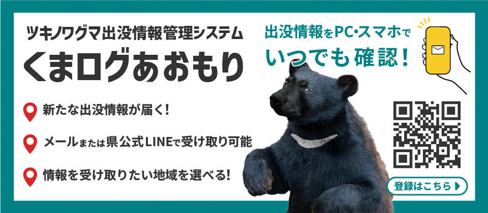 くまログ