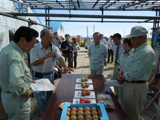 写真：農林水産委員会調査