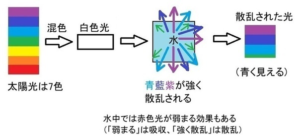 水は青色光を散らせる