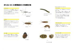 きたない水に住む生きもの