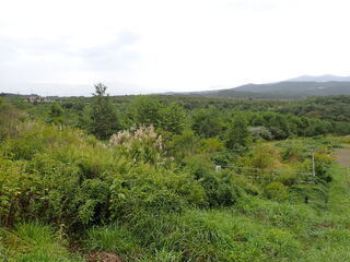 R0509260001