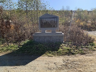 R0411110010