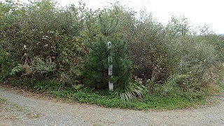R0310140003