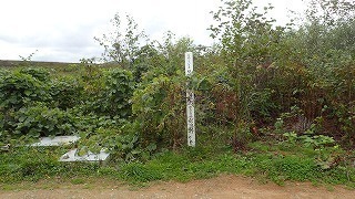 R0310140004