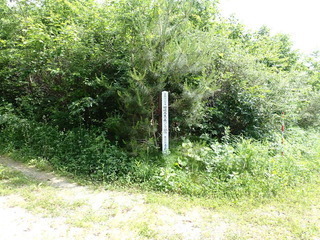 R0506200003