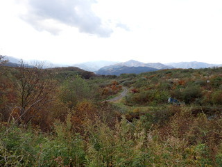 R0510260006