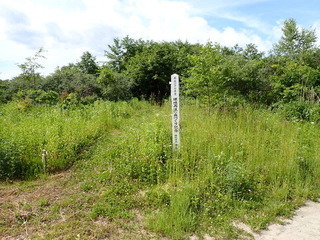 R0506200008