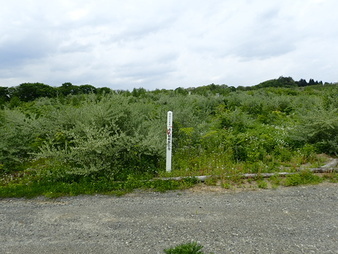 H3005280009