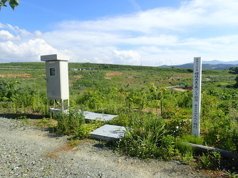 H2906240004