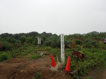H2907280008