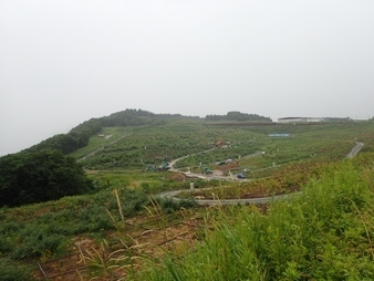 H2907280012