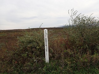 R0110290005