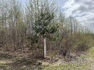 R0604180003