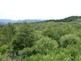 R0606180011