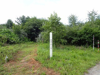 R0608070008