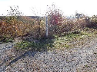 R0610310005