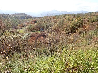 R0610310006