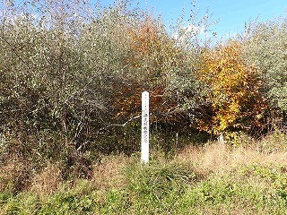 R06110310009