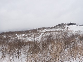 R0701160011