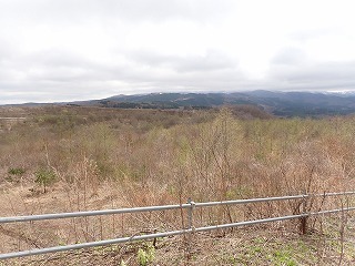 R0704240001
