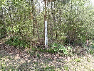 R0705130003
