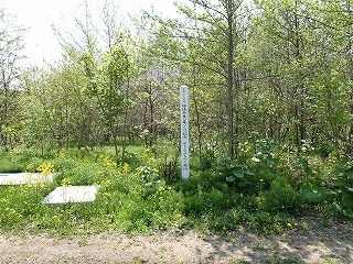 R0705130004