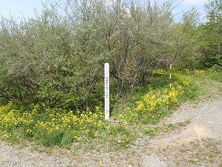 R0705130007