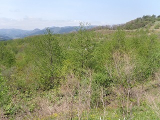 R0705130011