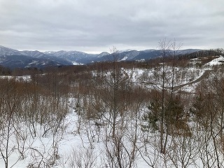 R0803030011