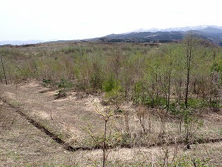 R08042300001