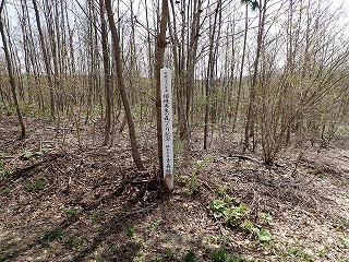 R0804230003