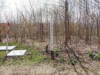 R0804230004