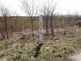 R0804230005