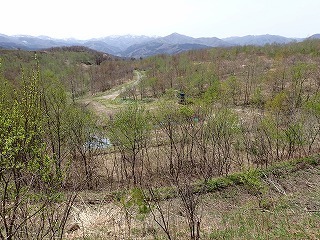R08042300006