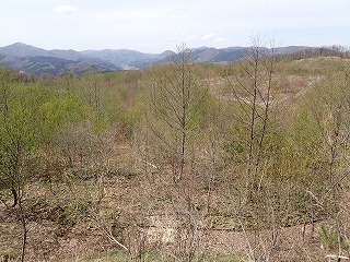 R0804230011