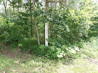 R0806180003