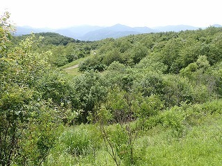 R08061800006