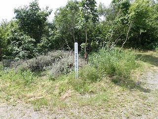 R08061800007