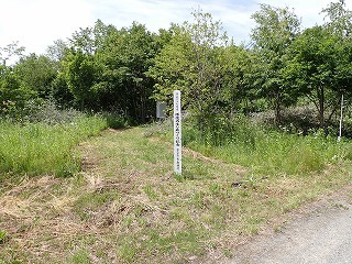 R08061800008