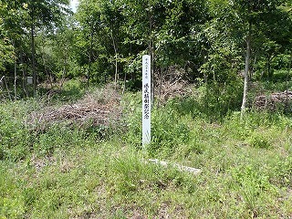 R08061800009