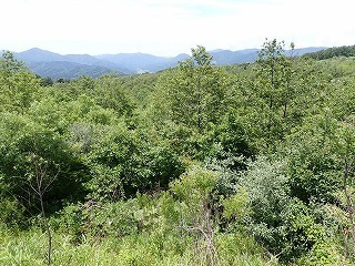 R0806180011