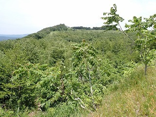R0806180012