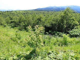 R08070100001