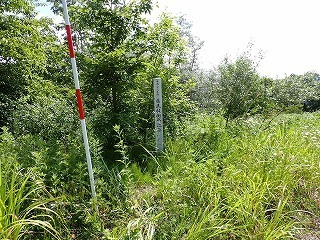 R0807010002