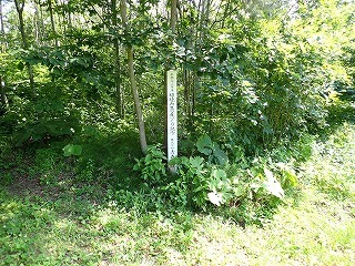 R0807010003