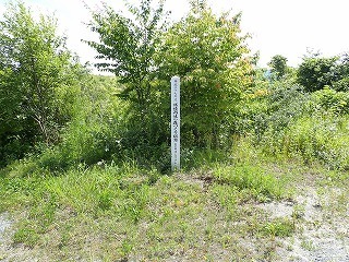 R0807010005