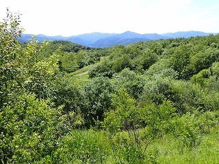 R08070100006