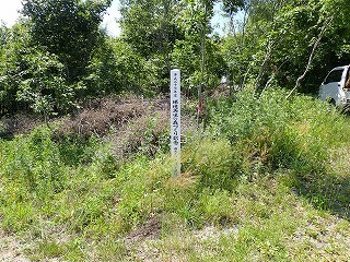 R08070100007