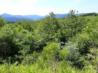 R0807010011