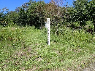 R08080500008
